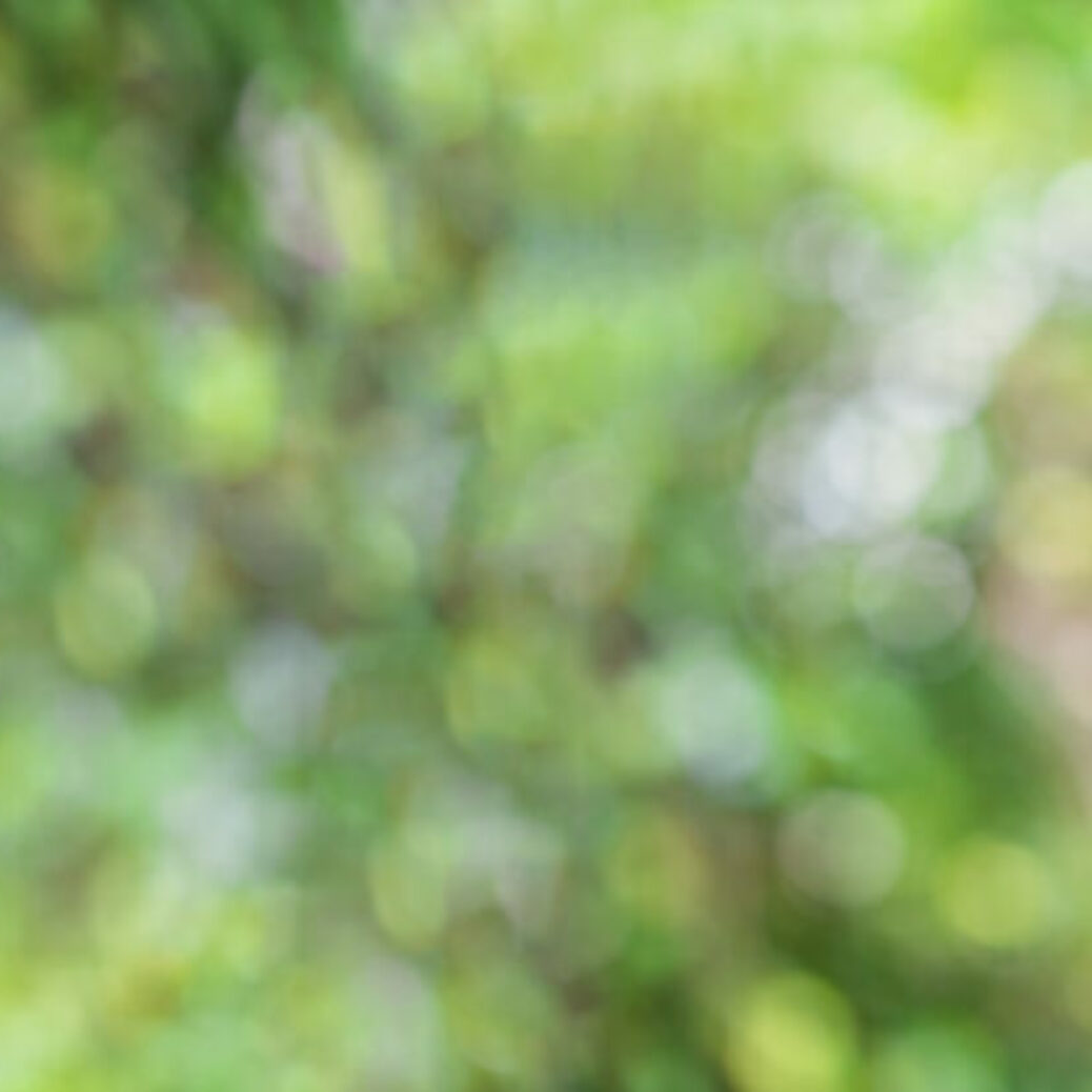 Wireless security camera-100