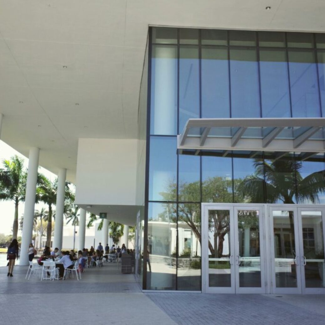 pexels-davegarcia-31085764